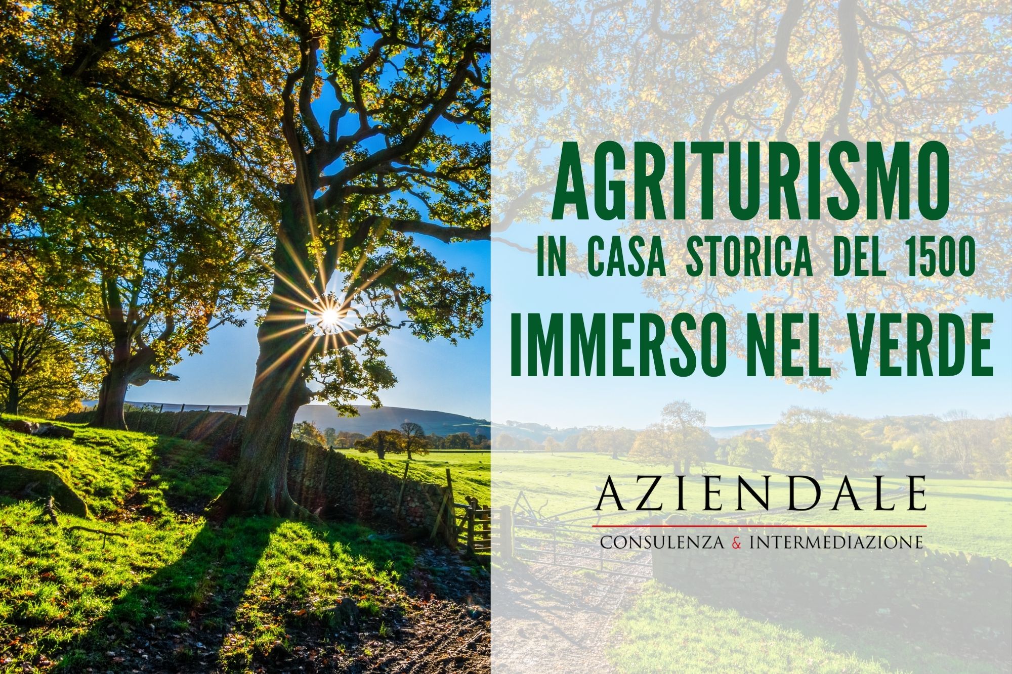 AGRITURISMO IN CASA STORICA DEL 1500 CON TERRENO