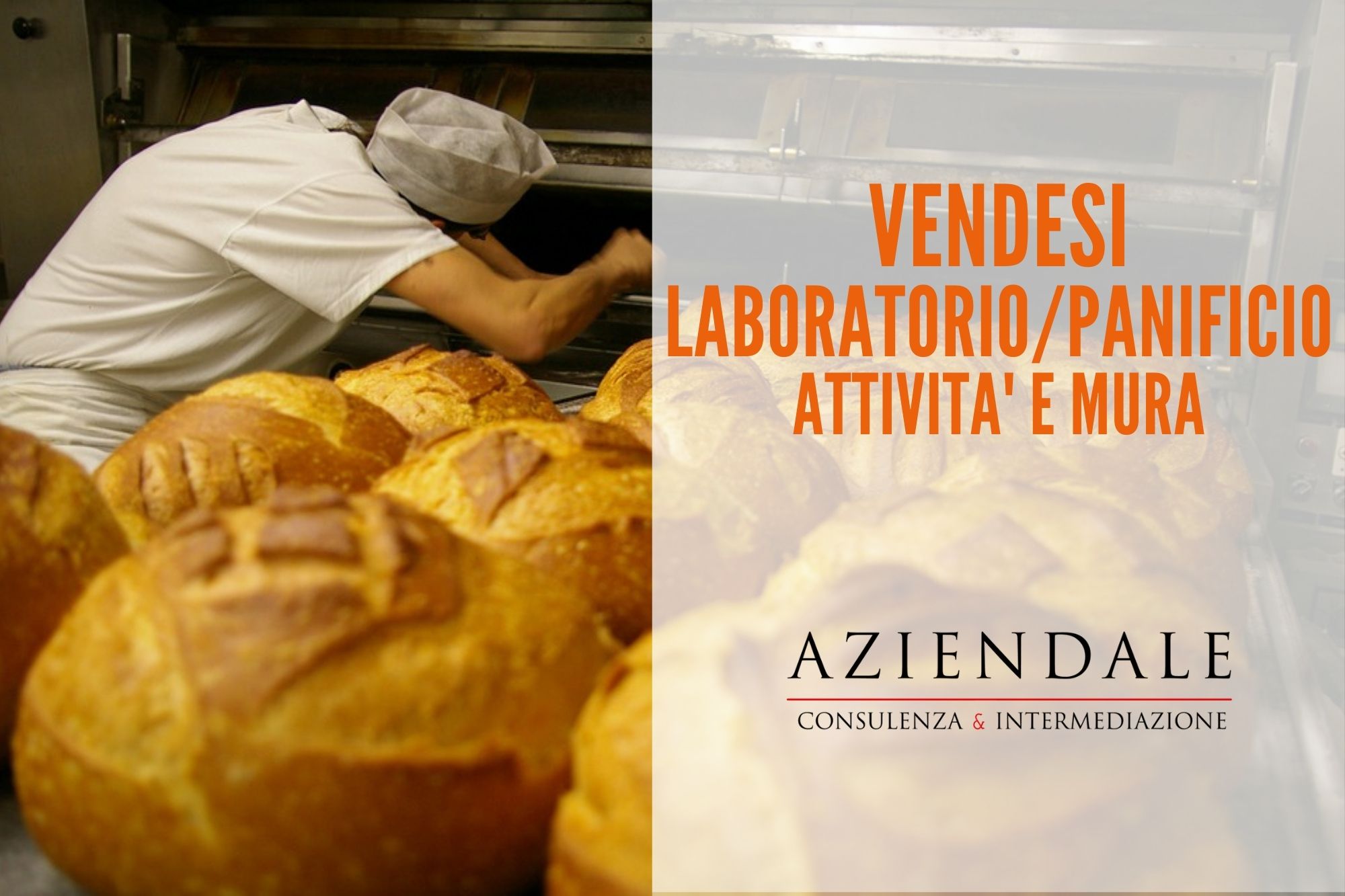 PANIFICIO-PASTICCERIA-LABORATORIO-IMMOBILE COMPRESO