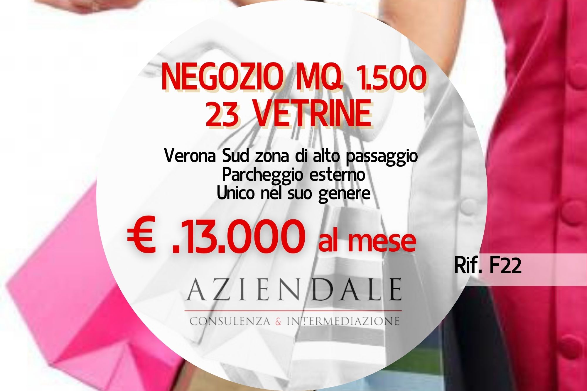 NEGOZIO MQ 1.000 STRADA ALTO PASSAGGIO VEICOLARE